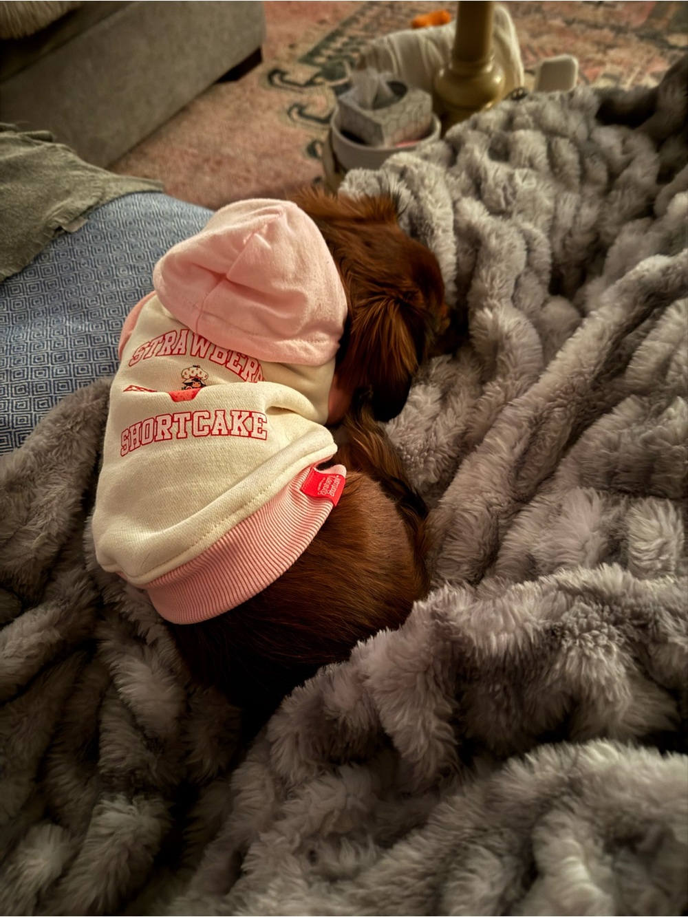 Strawberry Shortcake Cream & Pink Dog Hoodie